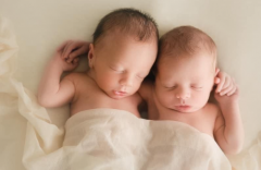 试管婴儿备孕：同卵双生和异卵双生有什么区别？怀上双胞胎有什么风险？
